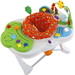 Fisher-Price Y5707