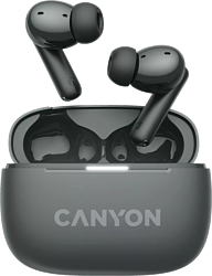 Canyon TWS-10