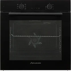 Электрический духовой шкаф Schaub Lorenz SLB EY6408