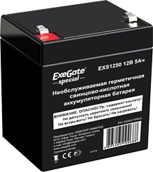 ExeGate Special EXS1250   ES255175RUS