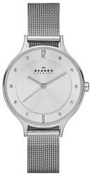 Наручные часы Skagen SKW2149