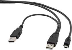 2 USB 2.0 - mini-USB 2.0 type-B 0.5 м