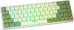 AULA F3068 white/green