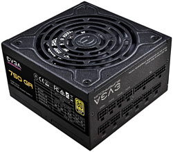 EVGA SuperNOVA 750 GA 220-GA-0750-X2