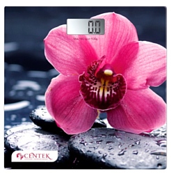 CENTEK CT-2421 Orchid