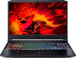 Acer Nitro 5 AN515-55-59BG (NH.QB2EP.001)