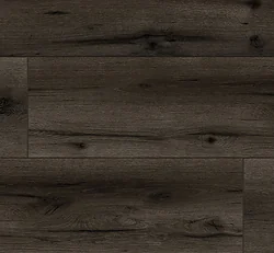 Arteo 8 XL 4V WR 54837 Дуб Градок