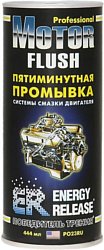 Energy Release Professional Motor Flush 444 ml (P023RU)