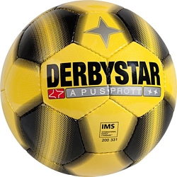 Derbystar Apus Pro TT (желтый/черный) (1714500525)