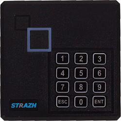 Strazh SR-R121K (черный)