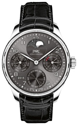 IWC IW503301