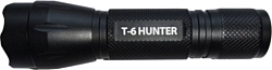 Яркий луч T-6 Hunter