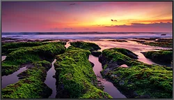 Информационная панель Samsung QB50B LH50QBBEBGCXCI Информационная панель Samsung QB50B LH50QBBEBGCXCI