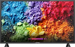 Телевизор STARWIND SW-LED43SB304