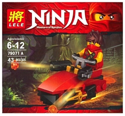 Lele (PRCK) Ninja 79071 A