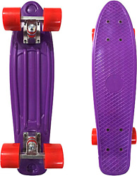 Display Penny Board Purple/red