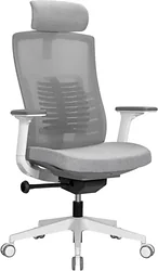 Кресло SPARX Raze White (серый) Кресло SPARX Raze White (серый)