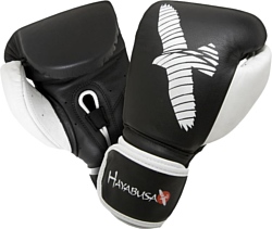 Hayabusa Pro 10OZ Gloves