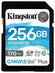 Карта памяти Kingston SDG3/256GB