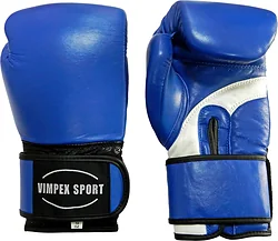 Перчатки для единоборств Vimpex Sport 3034 2022 (12 oz, синий)
