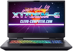 Clevo X170SM-G