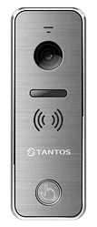 Вызывная панель Tantos iPanel 2+ (серебристый)