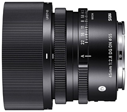 Sigma 45mm f/2.8 DG DN Contemporary Sony E