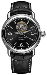 Aerowatch 68900AA01