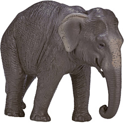 Konik Азиатский слон AMW2115