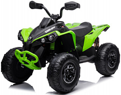 RiverToys BRP Can-Am Renegade (Y333YY) (зеленый)