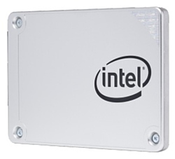 Intel SSDSC2KI010X601