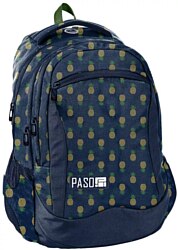 Городской рюкзак Paso PPMA19-2808