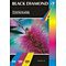 Black Diamond Diamond Gloss 10x15 300 г/кв.м. 20 листов (7300100150DGL20)