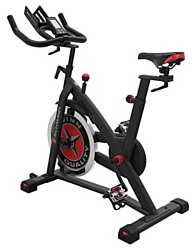 Schwinn IC3