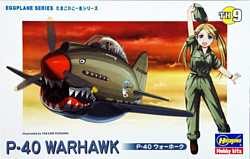 Hasegawa P-40 Warhawk