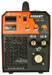 GIGANT MIG-250