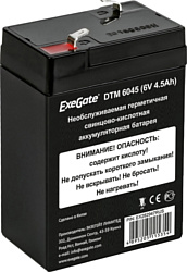 ExeGate DTM 6045 , 4.5