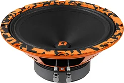 Автоакустика DL Audio Barracuda 200 V.2