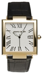 Pierre Cardin PC103951F03