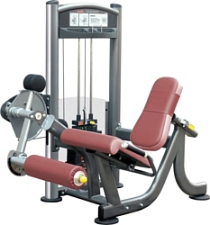 AeroFIT IT9005H