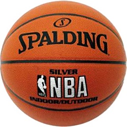 Spalding NBA Silver (7 размер)