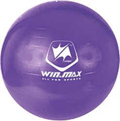 WIN.MAX WMF09648 (фиолетовый)