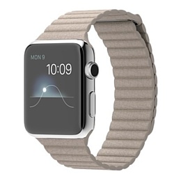 Apple Watch 42mm Stainless Steel with Stone Leather Loop (MJ432)
