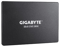 GIGABYTE 1000 GB (GP-GSTFS31100TNTD)