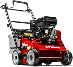 Скарификатор Weibang WB 384RB
