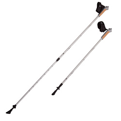 Палки для скандинавской ходьбы RGX NWS-02A