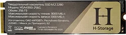 SSD Horizont H-Storage 256GB HSA4300-256G