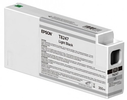 Epson C13T824700