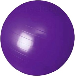 Gymnic Plus 65 BRQ (фиолетовый)