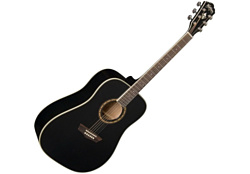 Washburn WD10B